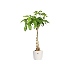 Pot De Fleurs Rond B.FOR - Plastique - Ø25 - Blanc - Elho