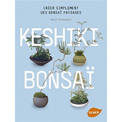 Keshiki bonsaï : créer simplement des bonsaï paysages