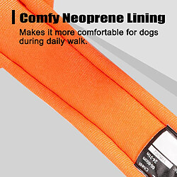 Universal Collier de chien en nylon de créateur et mollusque de reflet de chien de serrure en nylon pour chien de serrure lait de pit | harnais (orange) pas cher