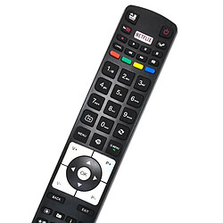 Avis GUPBOO RC5118 convient à la télécommande TV Hitachi JVC VESTEL RC5117 CR4875