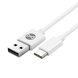 Câble USB vers USB Type C Charge Rapide et synchronisation 1m Forever Blanc