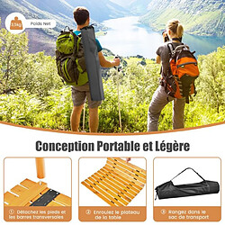 Acheter Helloshop26 Table de camping pliante avec sac de transport pour pique-nique plage barbecue camping pêche naturel 20_0005169