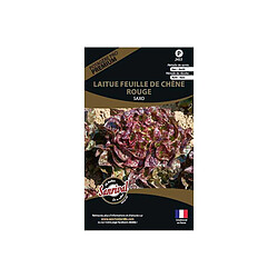 Sanrival Graines potagères premium laitue Feuille de chêne rouge Saxo