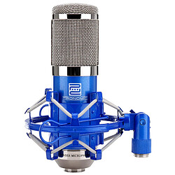 Microphone de chant