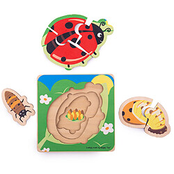 Bigjigs Toys Puzzle Cycle de Vie - Coccinelle