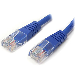 Câble RJ45 Startech