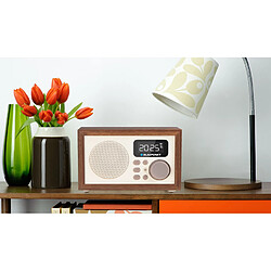 Avis Radio-réveil en bois FM USB 2.0/SD/AUC HR5BR Blaupunkt