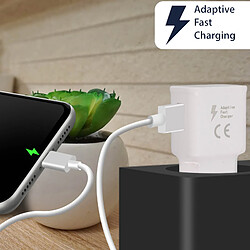 Acheter Avizar Chargeur secteur USB 1.5A et Câble Lightning iPhone/iPad Charge rapide - Blanc