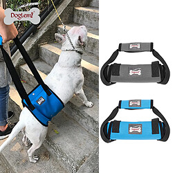 Harnais élévateur à Chien Mobilier De Levage élévateur Support Harnais Avec Poignée Xl Gris