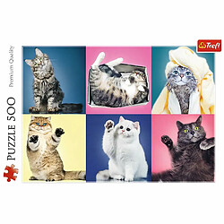 Avis Trefl- Kätzchen 500 Teile, Premium Quality, für Erwachsene und Kinder AB 10 Jahren Puzzle, 37377