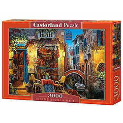 castorland Notre endroit spAcial A Venise Puzzle (3000 piAces)