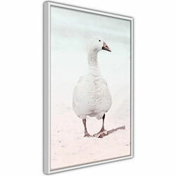 Paris Prix Affiche Murale Encadrée Walking Goose 20 x 30 cm Blanc