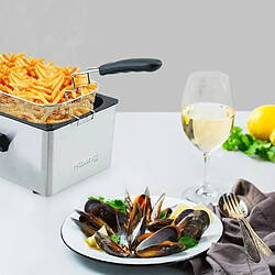 Acheter Hkoenig friteuse électrique EN INOX pour des plats frits et croustillants