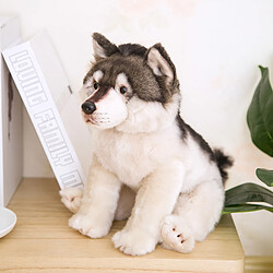 Avis Universal Loup chien réaliste husky chien poils de chien peluche animaux en peluche poupée bébé enfant loup amoureux cadeau d'anniversaire maison boutique décoration | animaux en peluche