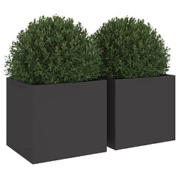 Avis vidaXL Jardinières 2 pcs noir 32x30x29 cm acier