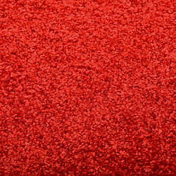 Acheter vidaXL Paillasson lavable Rouge 40x60 cm