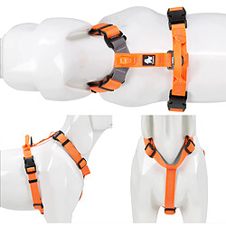 Universal Faisceau d'animaux domestiques réglable en nylon réflecteur avec col et ceinture en néoprène léger épaisseur randonnée course descente | Gilet pour chiens