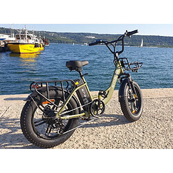 Acheter Vélo Électrique ENGWE L20 : Puissance 250W, Batterie 624Wh | Autonomie 60KM