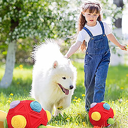 Jouet pour chien, jouet interactif incassable, distributeur de friandises pour chiot, jouet pour chien à alimentation lente.