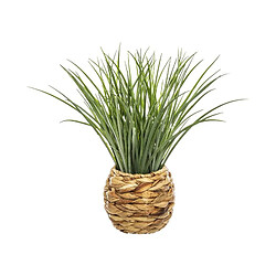 But Herbe pot tressé H46 Marron