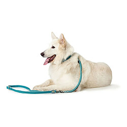 Avis Laisse pour Chien Hunter HILO Turquoise (200 cm)