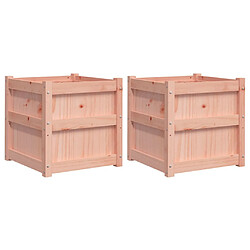 vidaXL Jardinières 2 pcs bois massif douglas