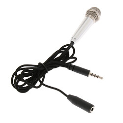 Mini microphone