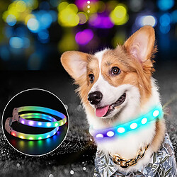 Acheter LED Collier de Chien, USB Rechargeable Glowing Collier