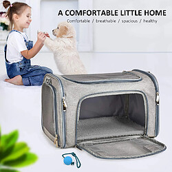 Universal Animaux de compagnie Voyage Chats Porte-chats Petits Chats Porte-chiens Sac à poitrine douce Caisse portable pliable avec grille respirable | Porte-chiens pas cher