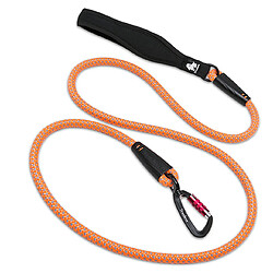 Universal Laisse pour chien en nylon avec crochet en alliage d'aluminium réfléchissant, anneau en acier inoxydable, poignée en néoprène, randonnée & 124 ; traction (orange)