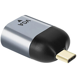 Avizar Adaptateur Vidéo USB-C Mâle vers VGA Femelle Résolution 1080p Compact Gris