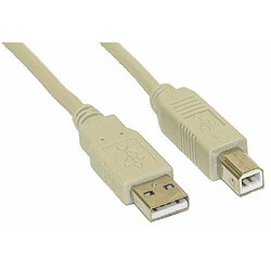 InLine 34510H Câble USB 2.0 AM/BM 1 m Beige