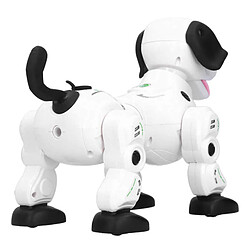 Universal Robot électrique chien 2.4G télécommande sans fil intelligent robot de conversation chien spray jouet chiot électronique chien de compagnie jouet cadeau pour les enfants | Animaux de compagnie électroniques