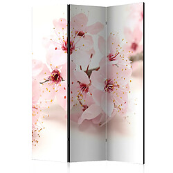 Artgeist Cherry Blossom