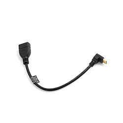 System-S Câble Mini HDMI vers Le Haut DD coudé fiche coudée 90 ° ° vers entrée HDMI Femelle 22 cm