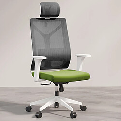 ICONIK INTERIOR Chaise de bureau ergonomique avec roulettes et accoudoirs - Ergal Vert