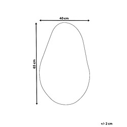 Avis Beliani Miroir AUBAGNE 65 cm Argenté