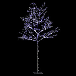 Avis Feeric Lights And Christmas Arbre fleuri lumineux d'intérieur Prunus - 160 LED blanc froid - Argenté