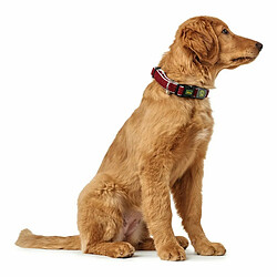 Collier pour Chien Hunter Plus Fil Rouge Taille L (40-60 cm)