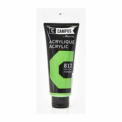 Raphael Peinture acrylique 100 ml - Vert clair n°817