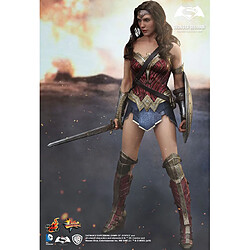 Avis Hot Toys MMS359 - DC Comics - Batman vs Superman : Dawn Of Justice - Wonder Woman