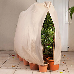 Idmarket Housse d'hivernage pour plante et arbuste 200 x 240 cm 