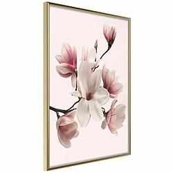 Paris Prix Affiche Murale Encadrée Blooming Magnolias I 20 x 30 cm Or