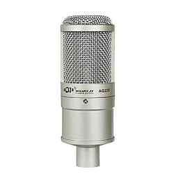 Yonis Microphone Anti-Bruit Haute Qualité Pro