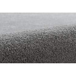 Avis RUGSX TAPIS - MOQUETTE DISCRETION argentin 150x200 cm