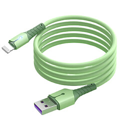 Cable USB Charge Rapide 3A Silicone Vert 2m Pour iPhone 8 / X / XR / 11 / 12 / 13 / SE 2022 Little Boutik®