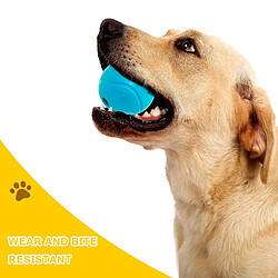 Avis Jouets pour chien en caoutchouc naturel avec boules de friandises pour chien (bleu)