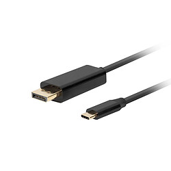 Adaptateur USB C vers DisplayPort Lanberg CA-CMDP-10CU-0005-BK Noir 500 cm