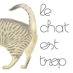 Le chat est trop