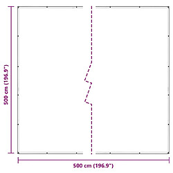 Acheter vidaXL Bâche transparente avec œillets 5x5 m polyéthylène